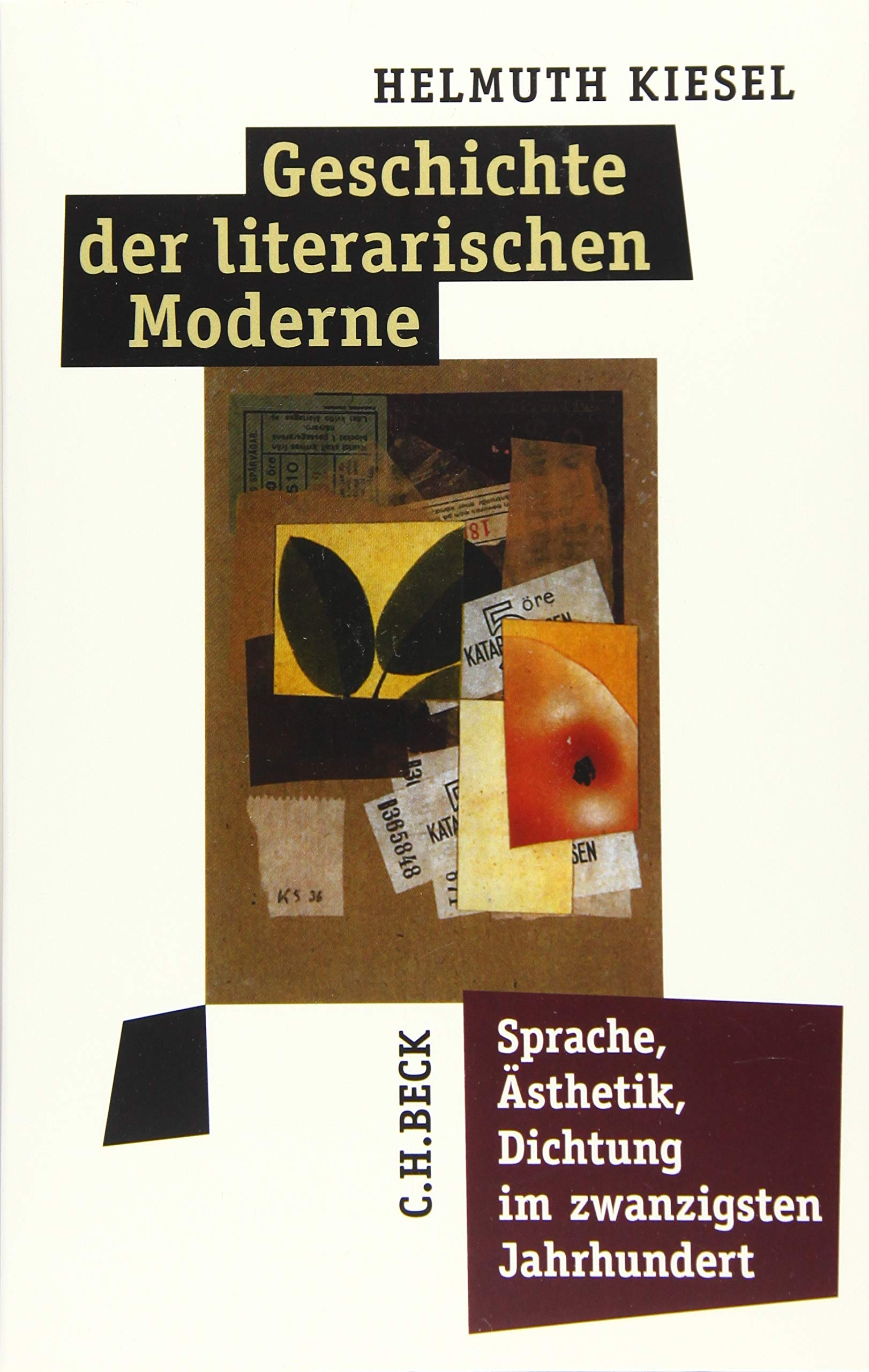 Geschichte der literarischen Moderne: Sprache, Ästhetik, Dichtung im zwanzigsten Jahrhundert