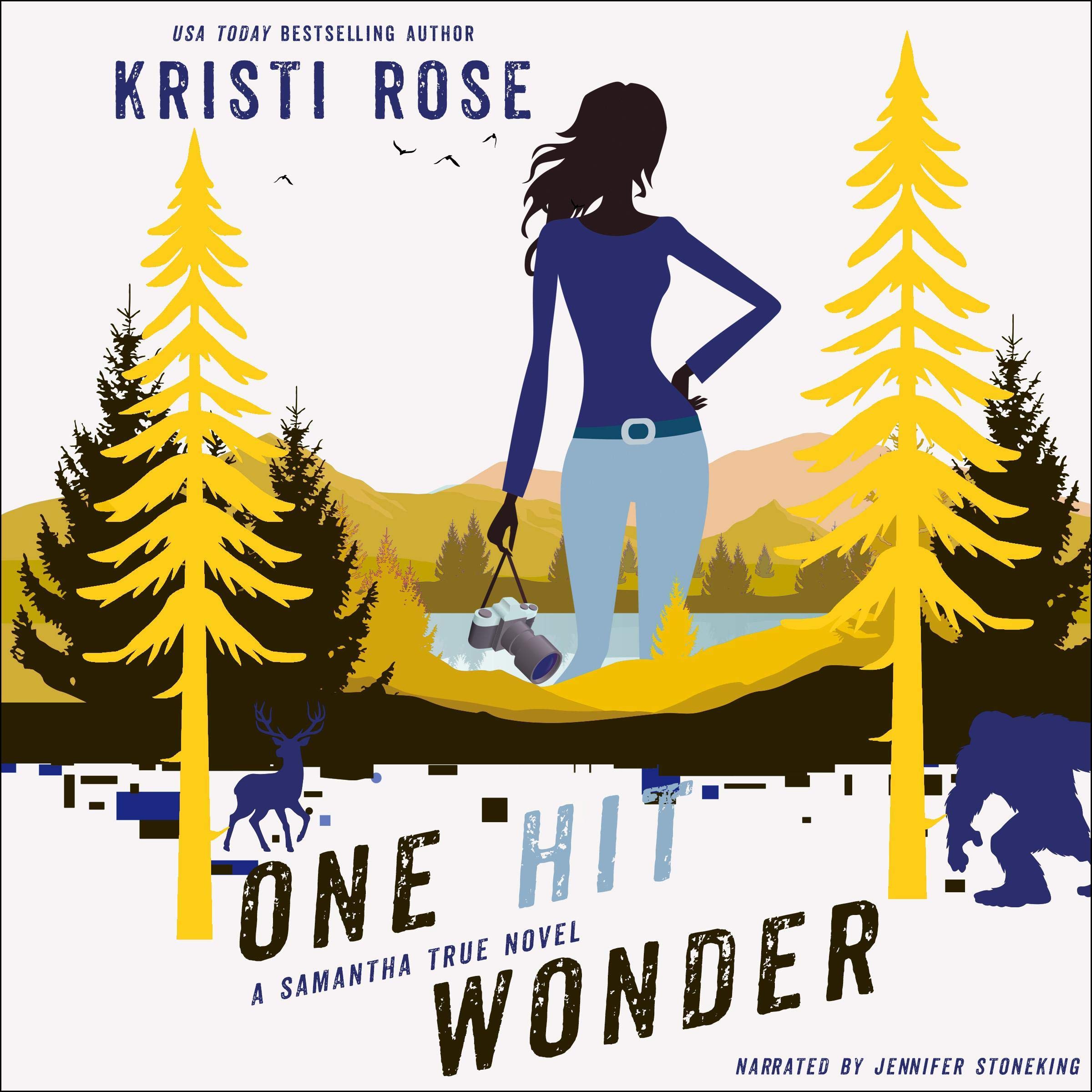 Cover art for One Hit Wonder