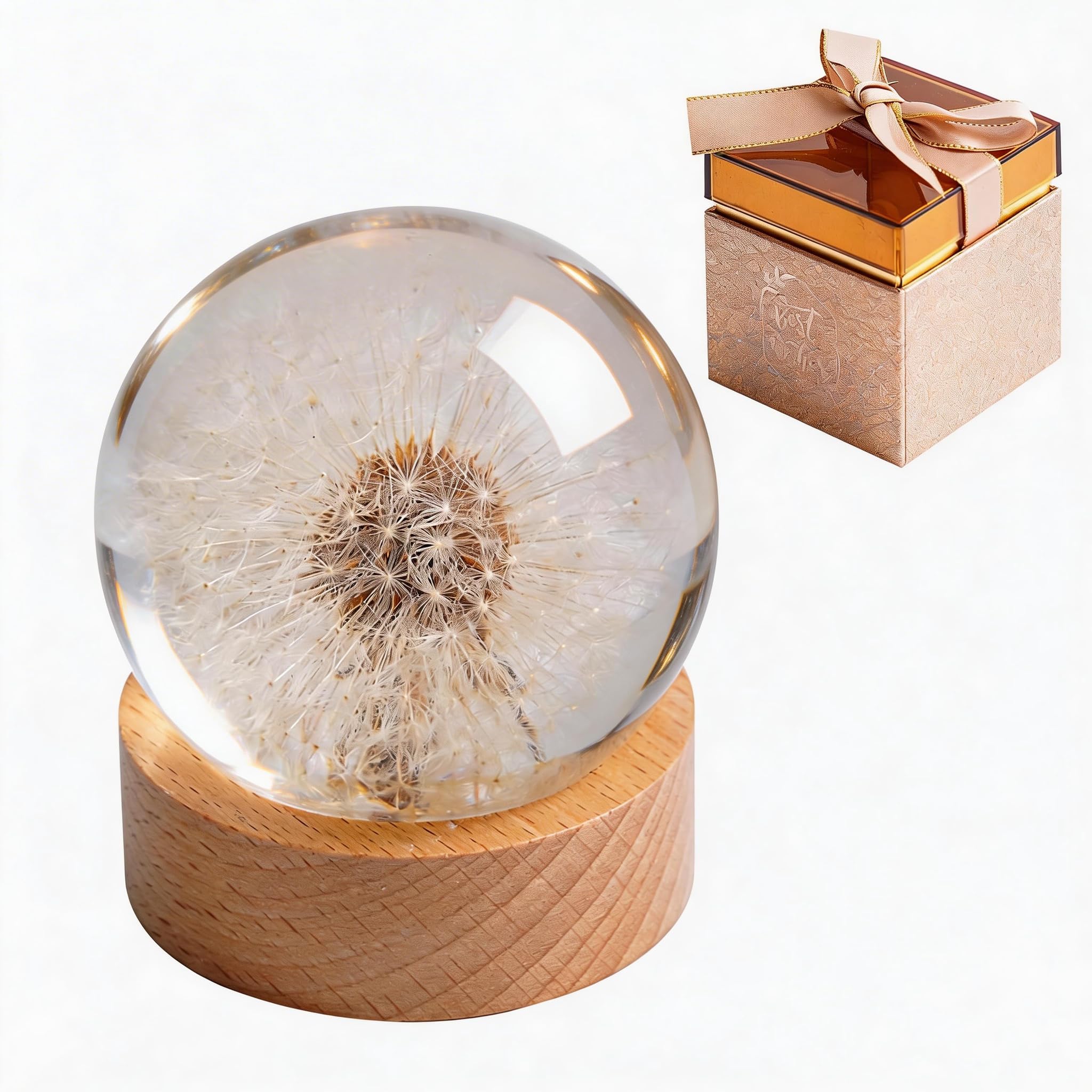 Dente di leone reale in resina, palla dei desideri del dente di leone eterno, fermacarte in confezione regalo, decorazione unica per casa e ufficio, perfetta per compleanni, matrimoni e
