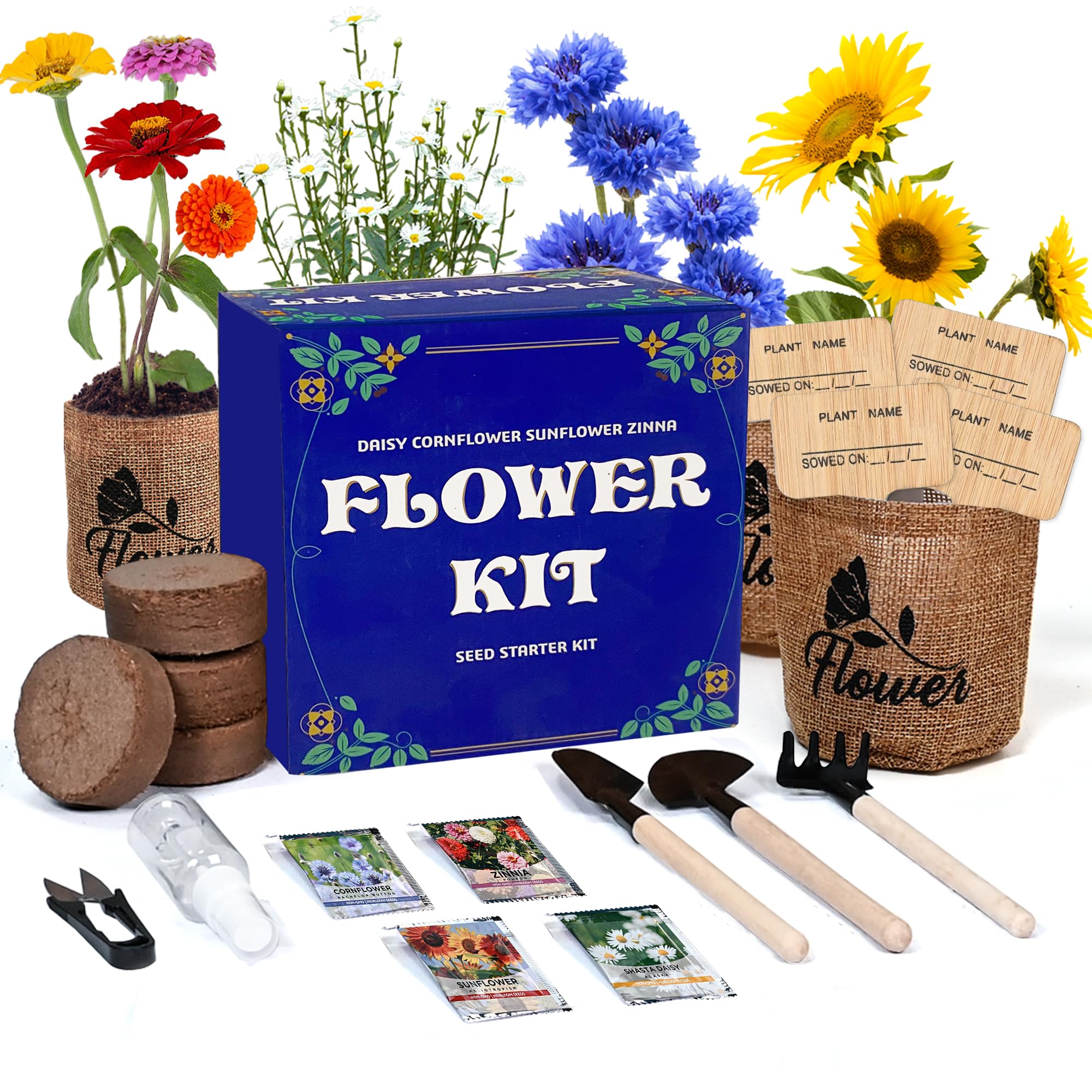 Amazon.com : Sproutix Indoor Daisy Garden Starter Kit, 4 Flower Seeds  Growing into Shasta Daisy, Cornflower, Sunflower, Zinnia, Including  Complete Gardening Tools for Women Men & Beginners : Patio, Lawn & Garden