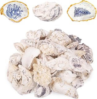 QEQEKAKA 25PCS Oyster Shells 4"-5" Concave Oyster Shells for Crafts Natural Oyster Shells Bulk, for Home Vase Filler, Xmas Ornaments, DIY Arts and Crafts Sea Shells