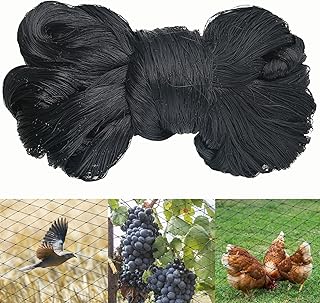 LINSOCLE Filet Anti-Oiseaux Noir 10m X 10m - Robuste Protection pour Volière, Poulailler, Potager et Fruits