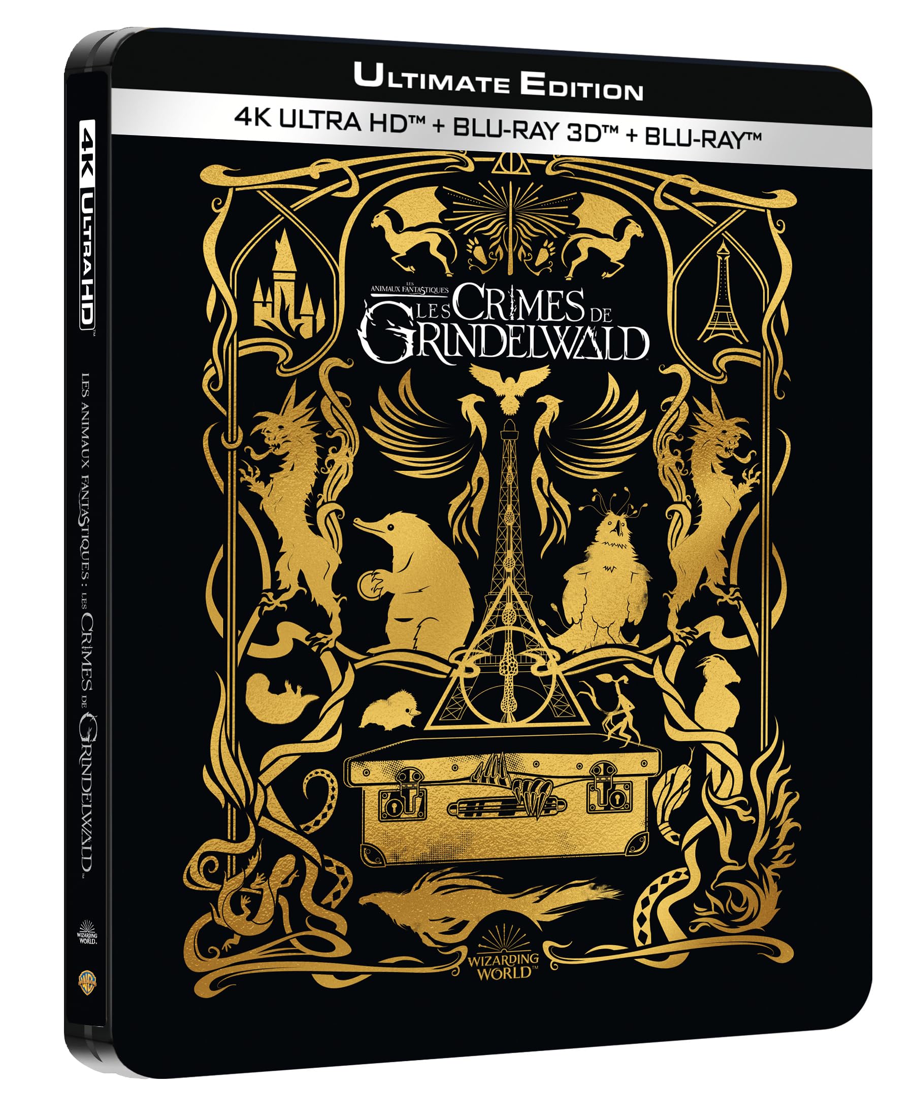 初回仕様】ファンタスティック・ビーストと黒い魔法使いの誕生