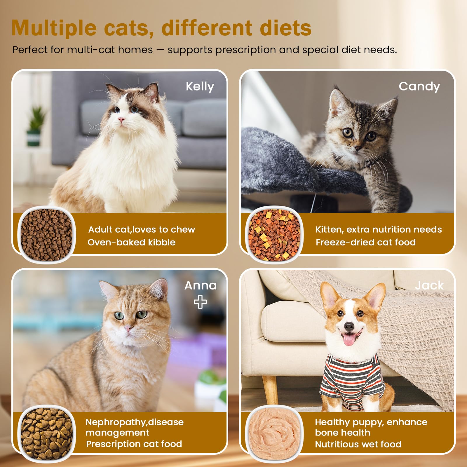 Collar-Activated Automatic Cat Feeder with Personalized Meal Access, Prevents Food Stealing, Portion Control Feeding System for Multi-Cat Homes — view 4