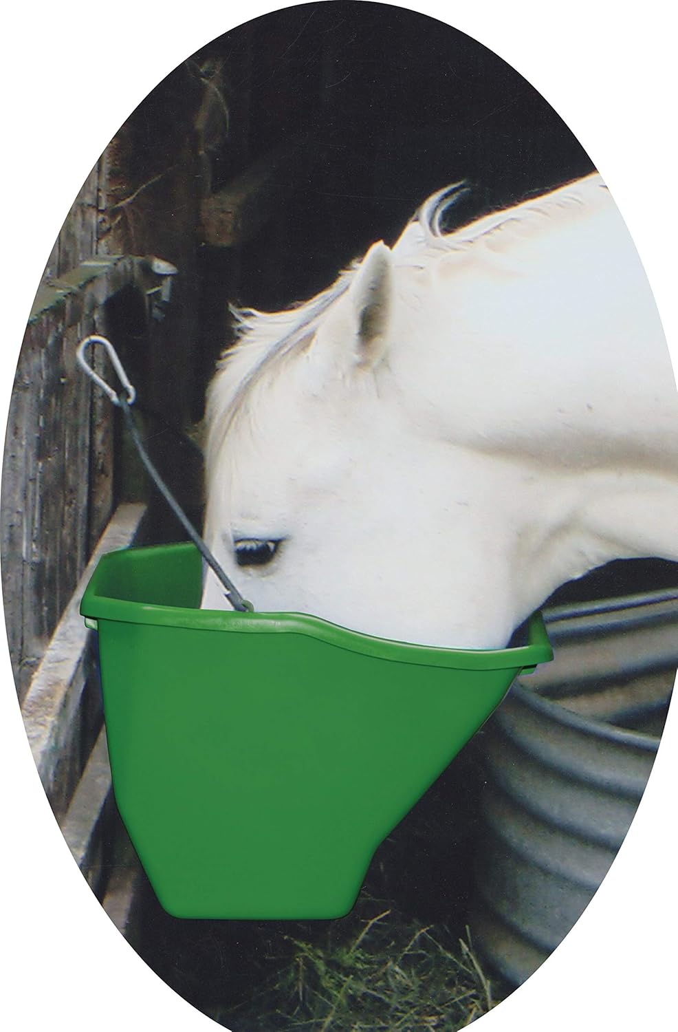 Little Giant® Plastic Better Bucket | Horse Feed Bucket | Ergonomically Designed | Flat Back Bucket | Made in USA | 20 Quarts | Green