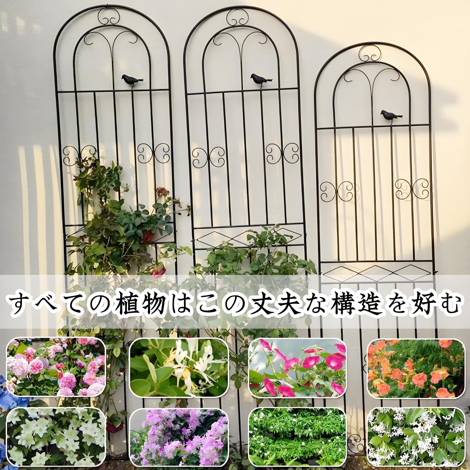 【新品】黒いアーチ型 金属トレリス 高さ180cm x 50cm ( 2枚組) Amazon.co.jp: アイアン フェンス ガーデニング 目隠し 柵 バラ