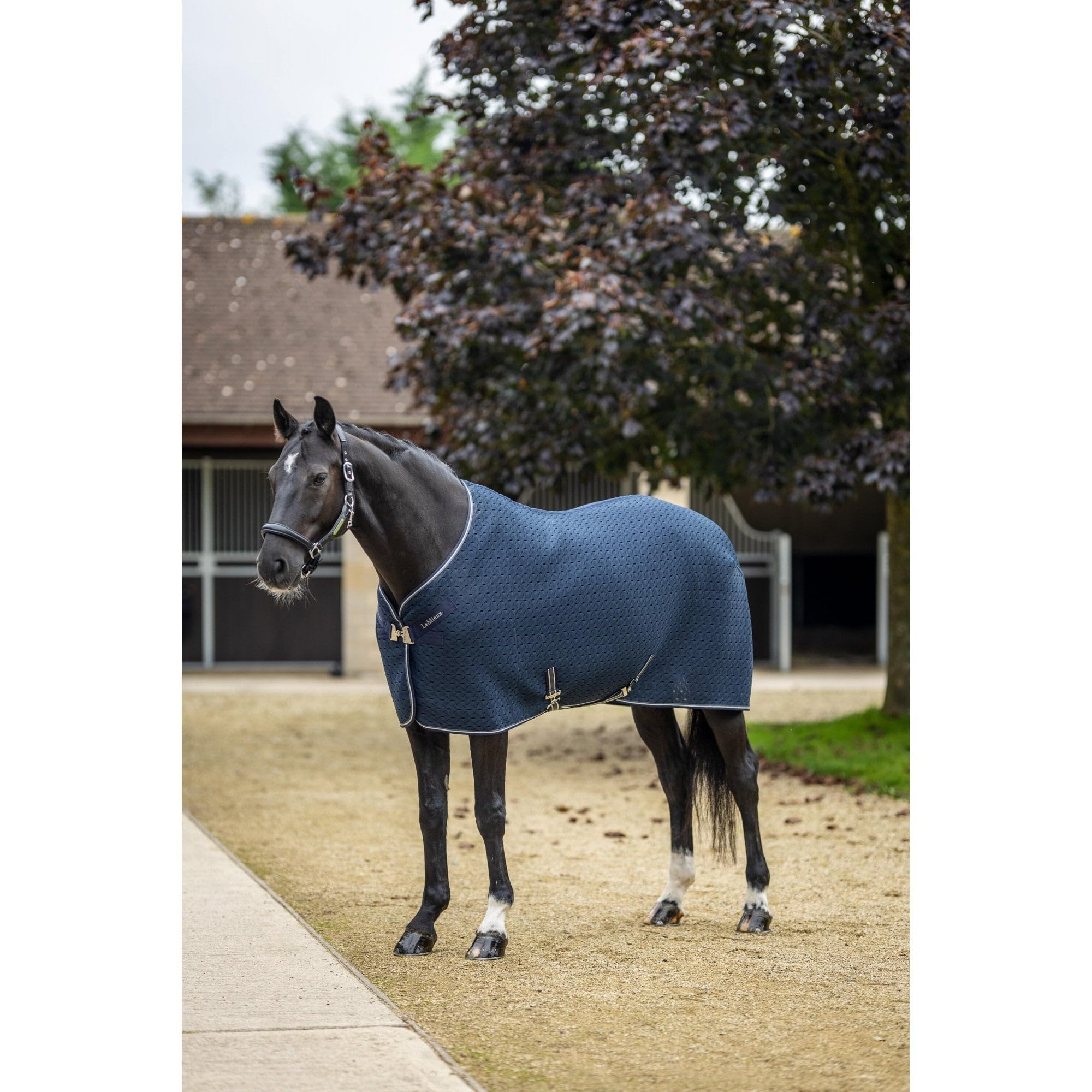LeMieux Kudos 3D Mesh Travel Rug - Navy Blue 6ft3