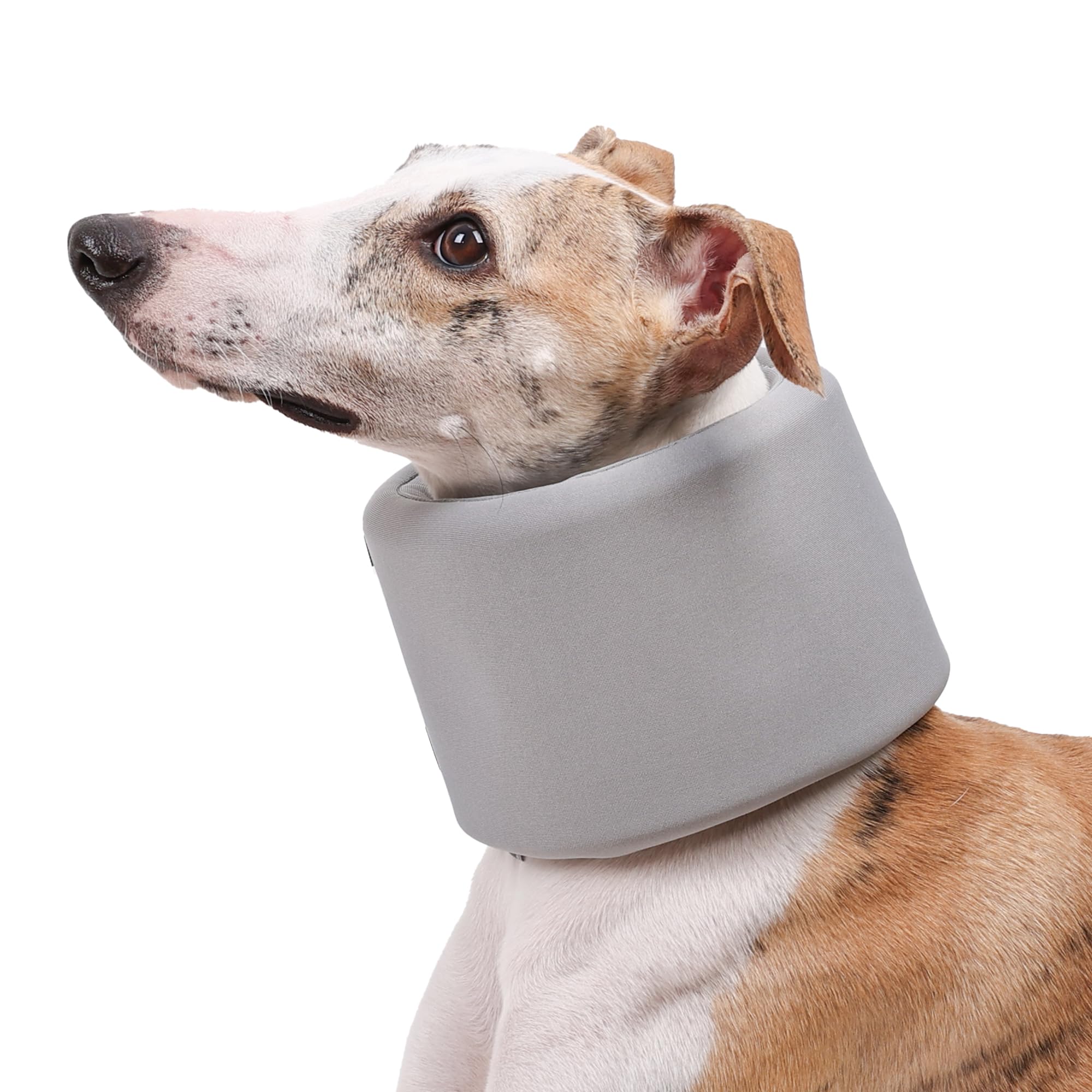 Duuclume Dog Cervical Collar Neck Brace, Adjustable Pet After Surgery Recovery Neck Cervical Cone, Anti-bite Support Cervical Sprain Elizabethan Collar for Small Medium Large Dogs (Gray, XL)