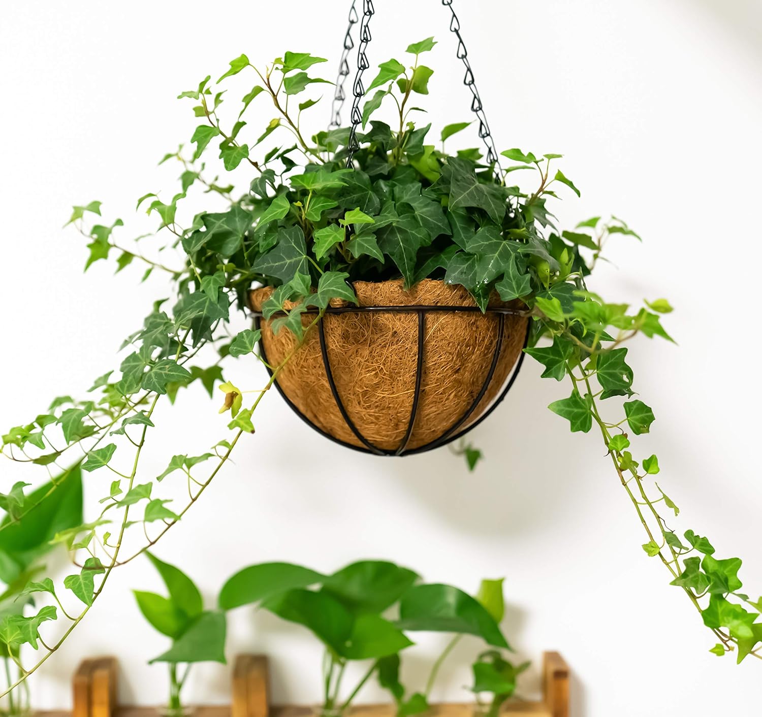 Kingbuy 8 Inch Iron Hanging Planter Basket with Coconut Liner Wire Plant Holder Flower Pot Hanger Garden Decoration for Indoor Outdoor