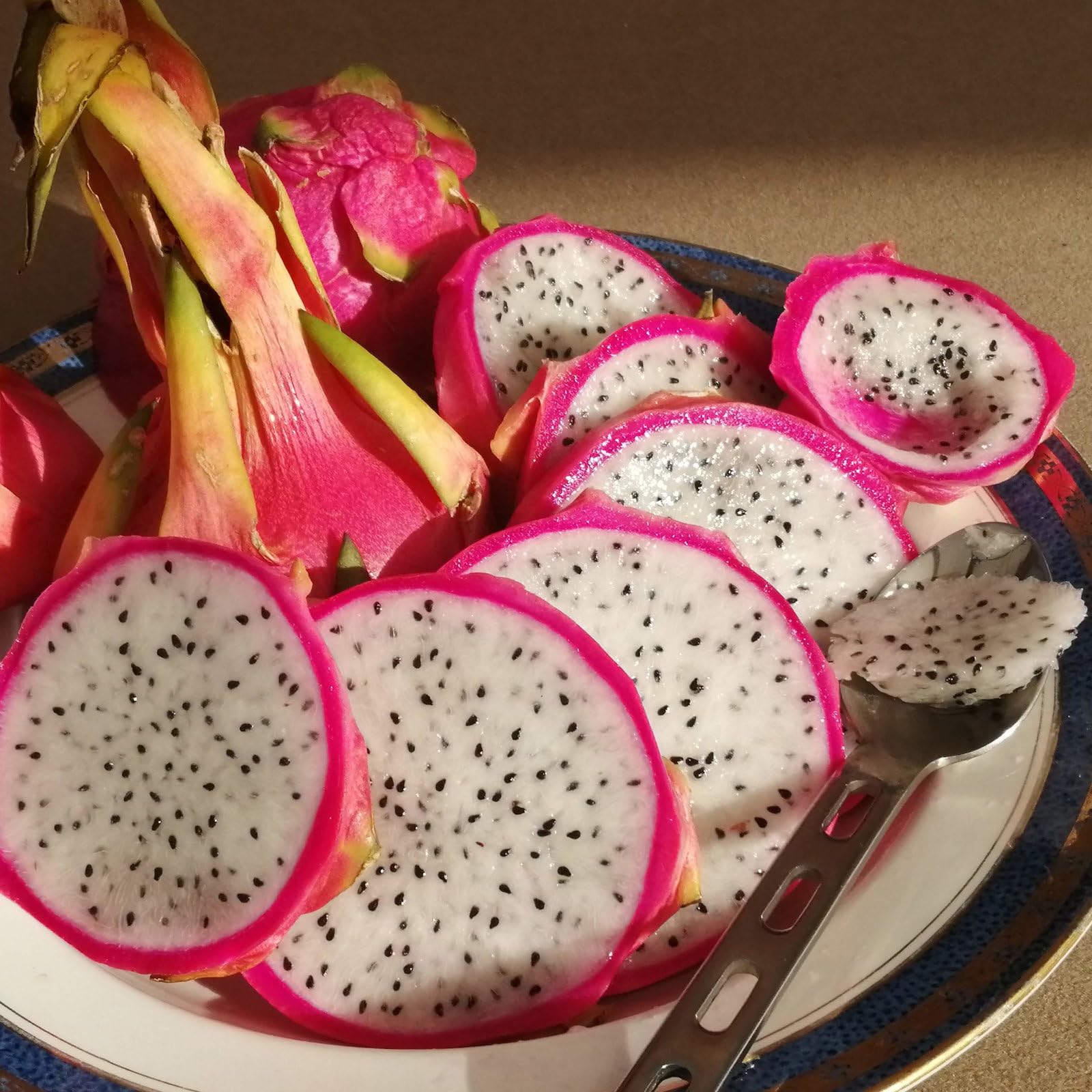 Plant World Seeds - Dragon Fruit Seeds (Exotic Fruit Seeds)