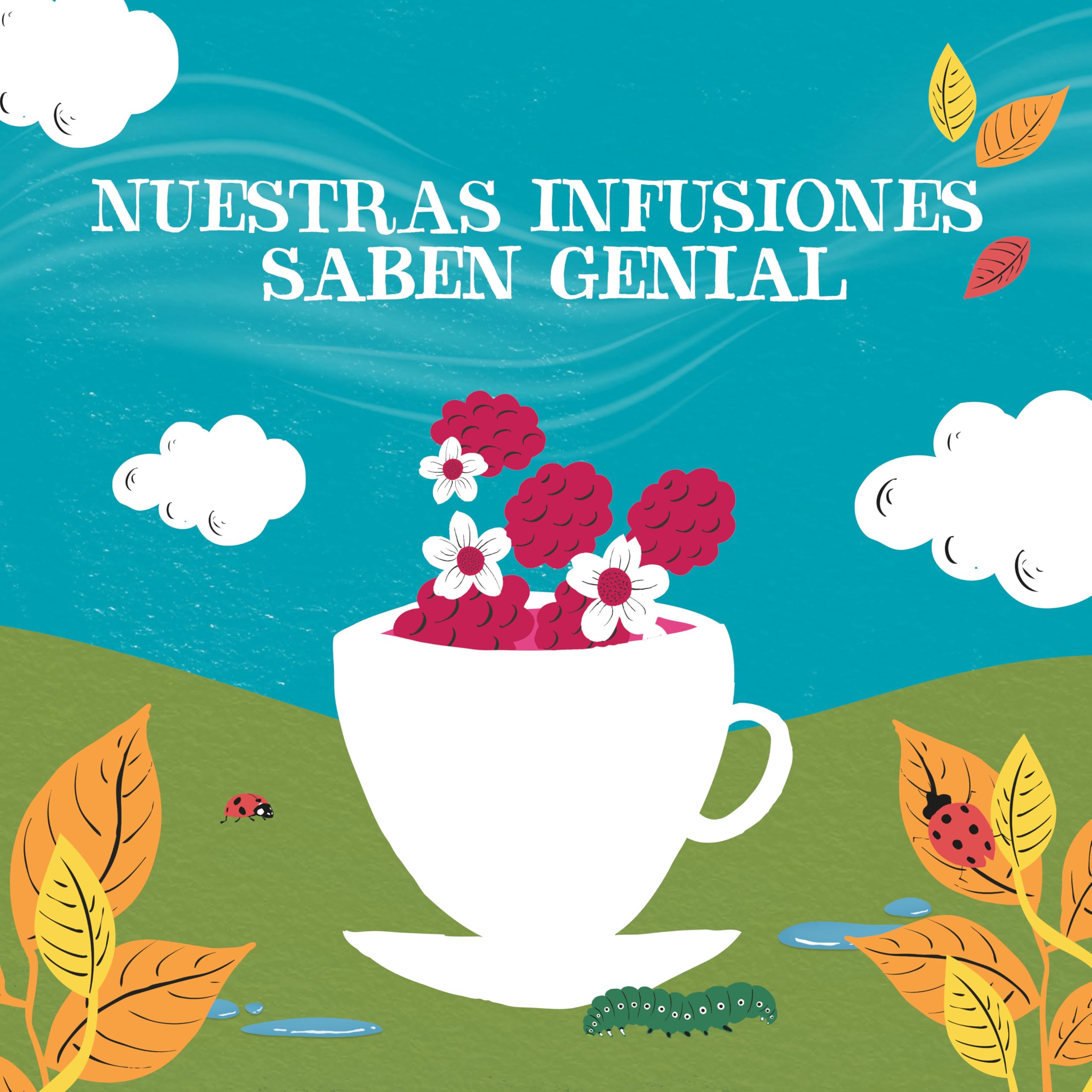 CUPPER - Caja de 50 bolsitas de Té Blanco Con Frambuesa Bio - Apto para Veganos - Contiene Frambuesa | Té blanco con frambuesa | sin plástico y sin blanquear | perfecto para la oficina | comercio justo