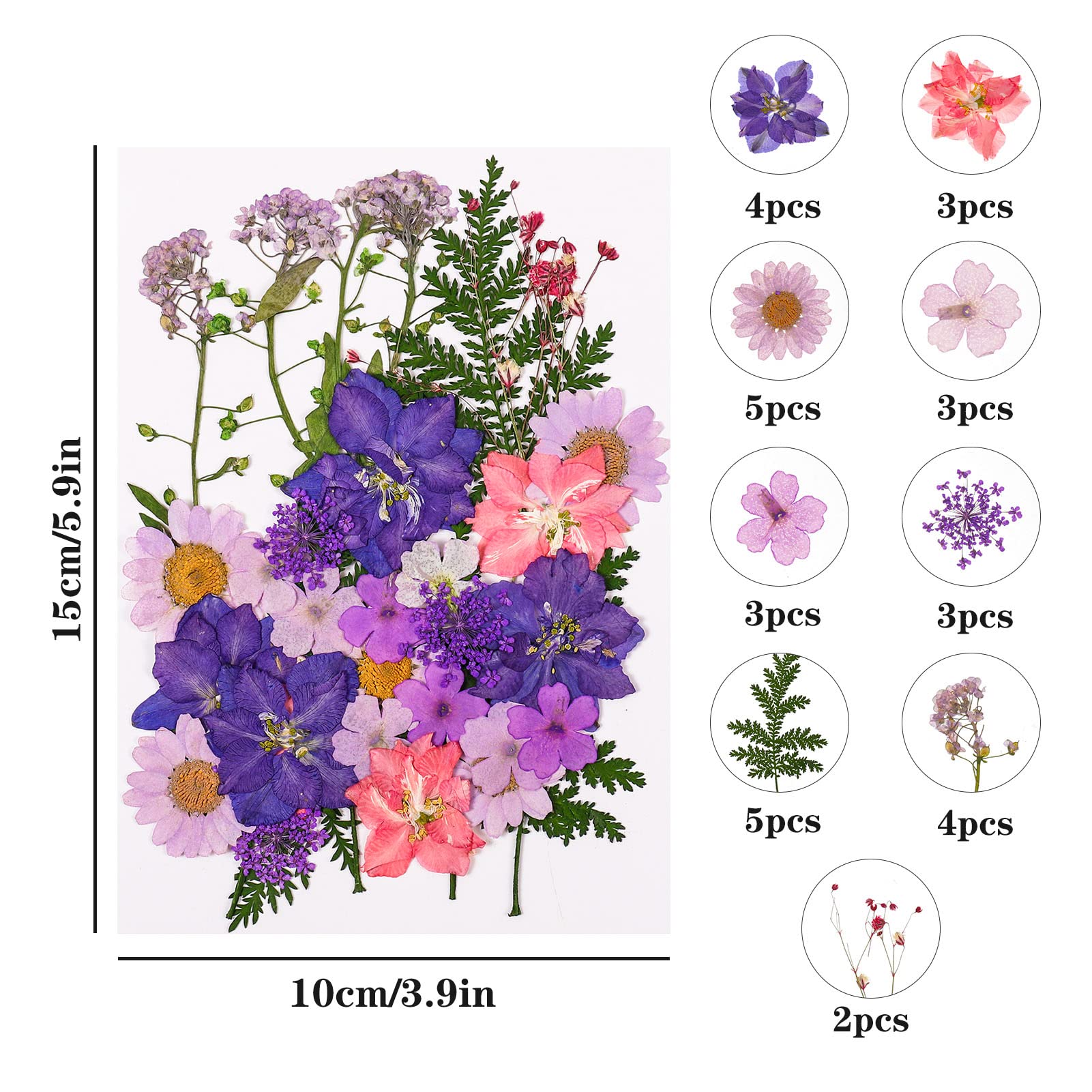 Lot De 69 Fleurs Pressées Séchées Naturelles Multicolores - Pour Résine époxy, Scrapbooking, Bougies, Nail Art, Décoration Créative - 10