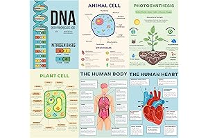 Biology Decor for High School Science Classroom Inspiration