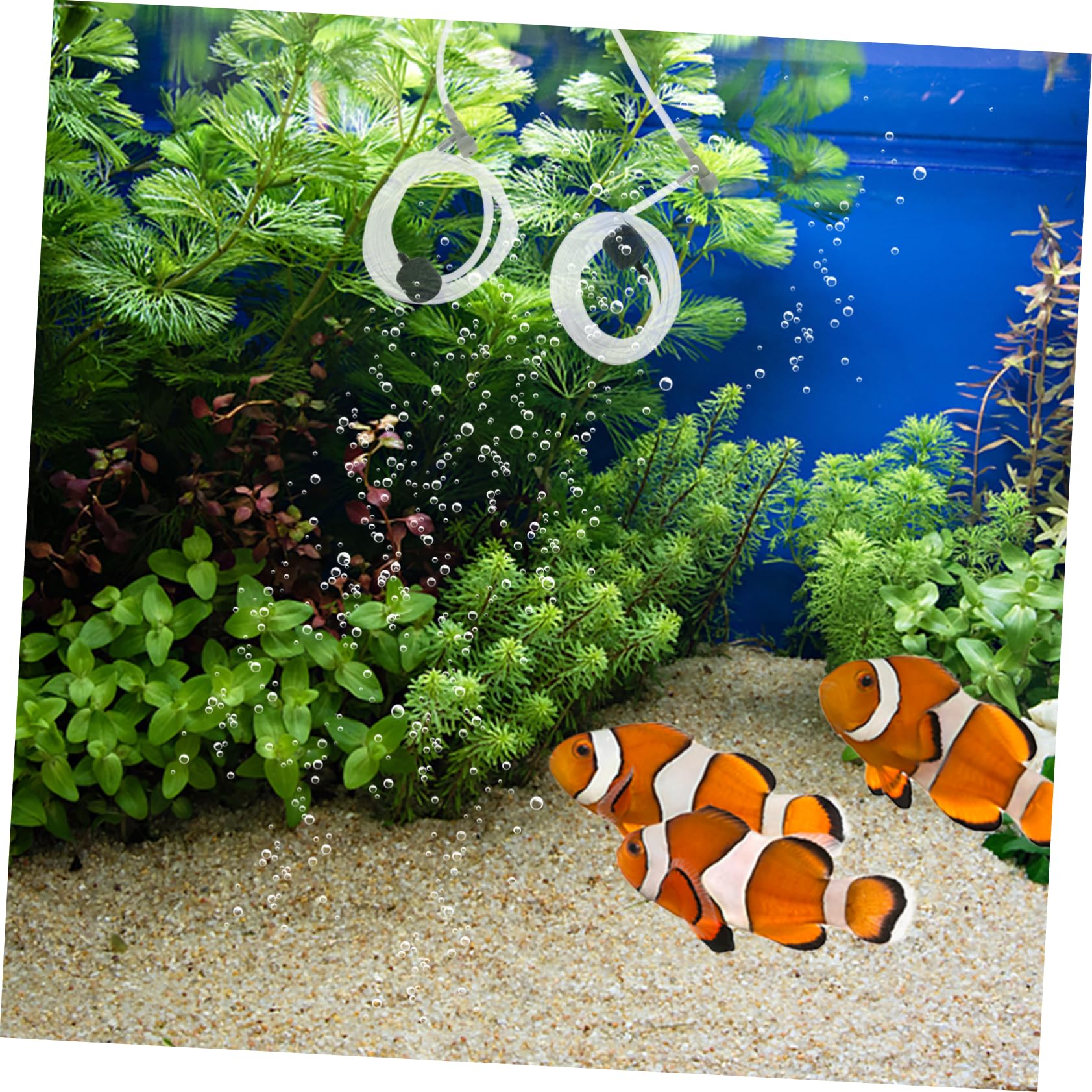 HANABASS Bomba de oxigeno USB Portable Air Pump Accesorios pecera aireador de Tanque de Peces Ajustable Bomba de Aire para Acuario Bomba de oxigeno para Acuario aireador de pecera