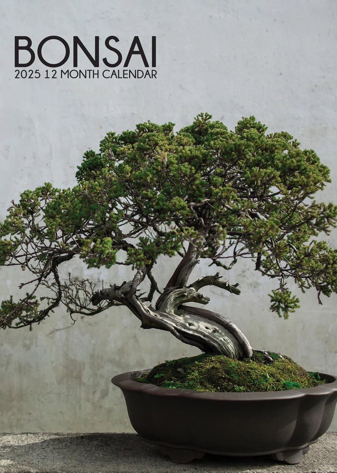 Bonsai 2025 A3 Size Wirobound Wall Calendar Bonsai Japanese Maple |  Desertcart Fiji