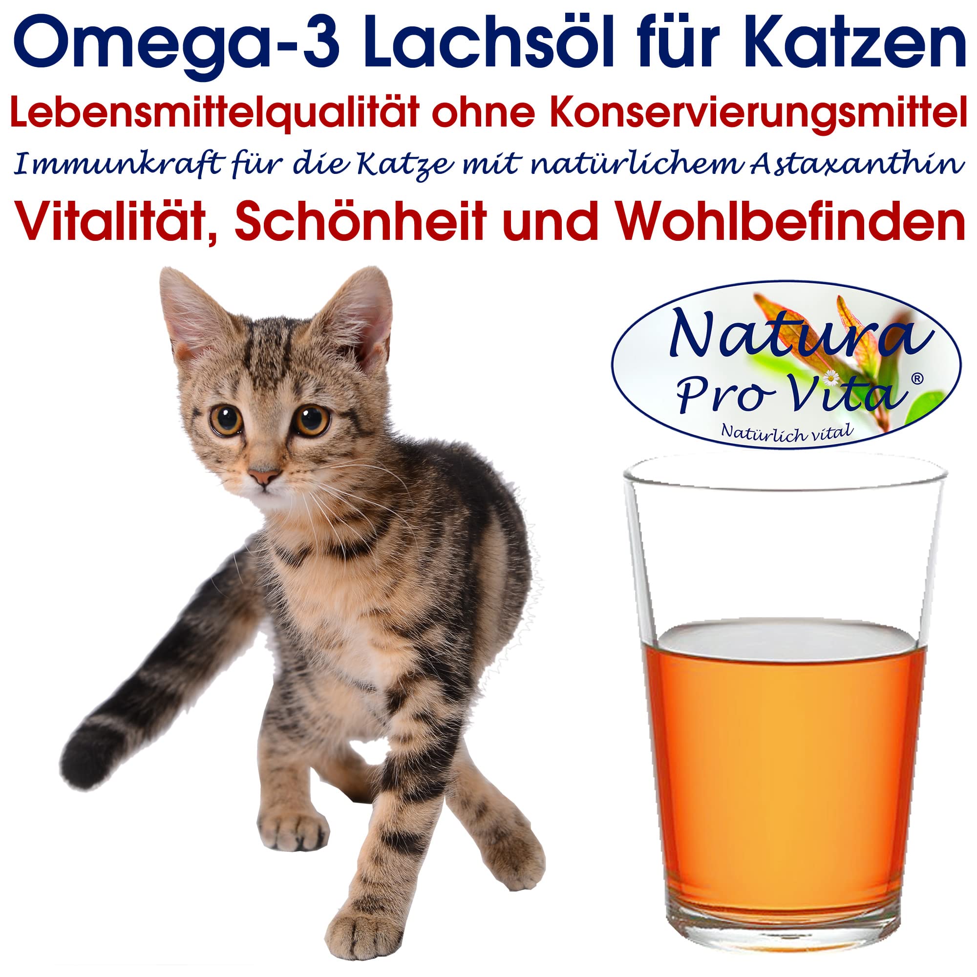 Lachsöl Katzen Lebensmittelqualität kaltgepresst Omega-3-Öl Katzen Natura Pro Vita gut für Haut Fell Immunkraft Fischöl Katzen Barföl 3L Glasflasche (3X 1L)