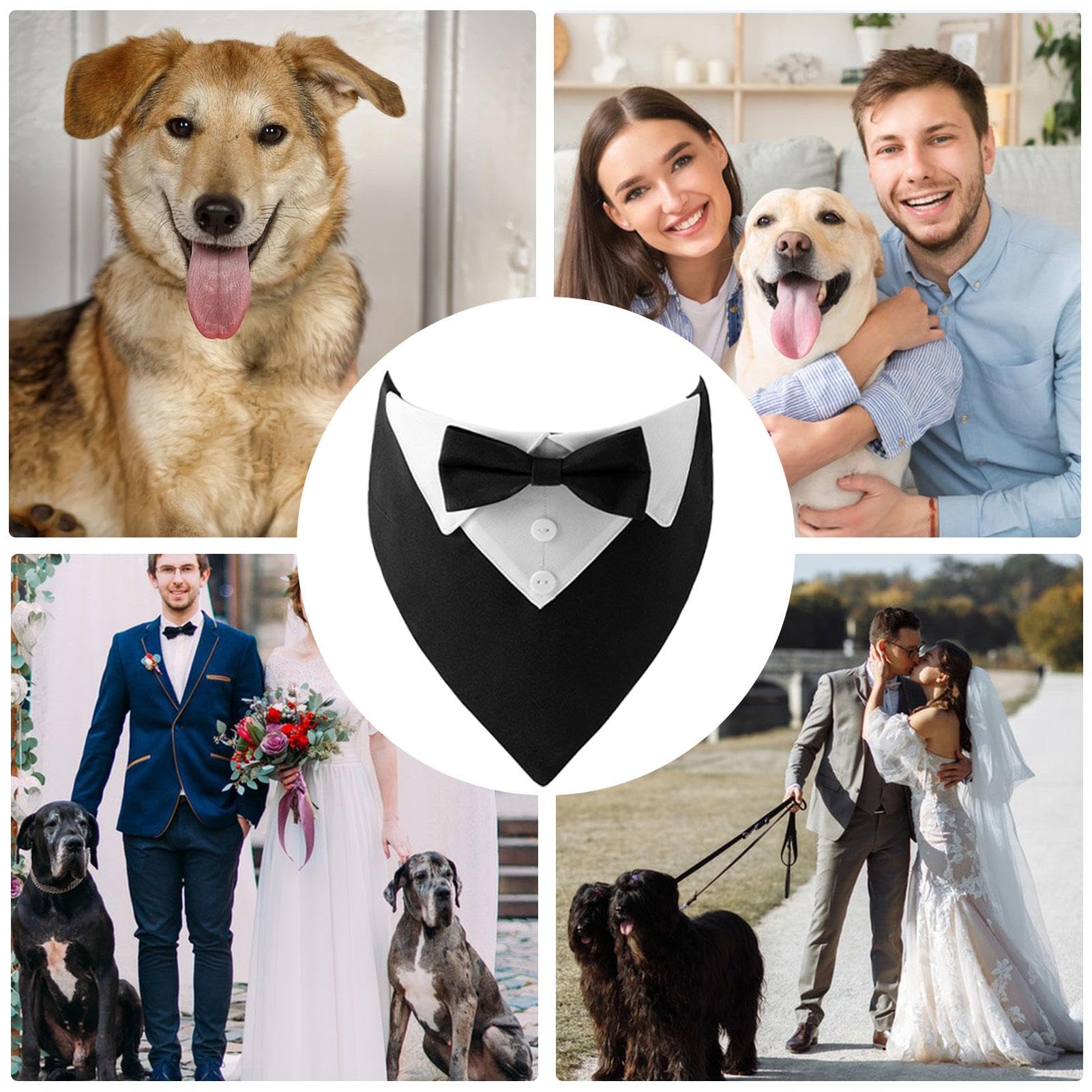 Smoking-Halsband Für Hunde Mit Fliege – Verstellbar (38–63,5 Cm), Für Hochzeiten & Festliche Anlässe