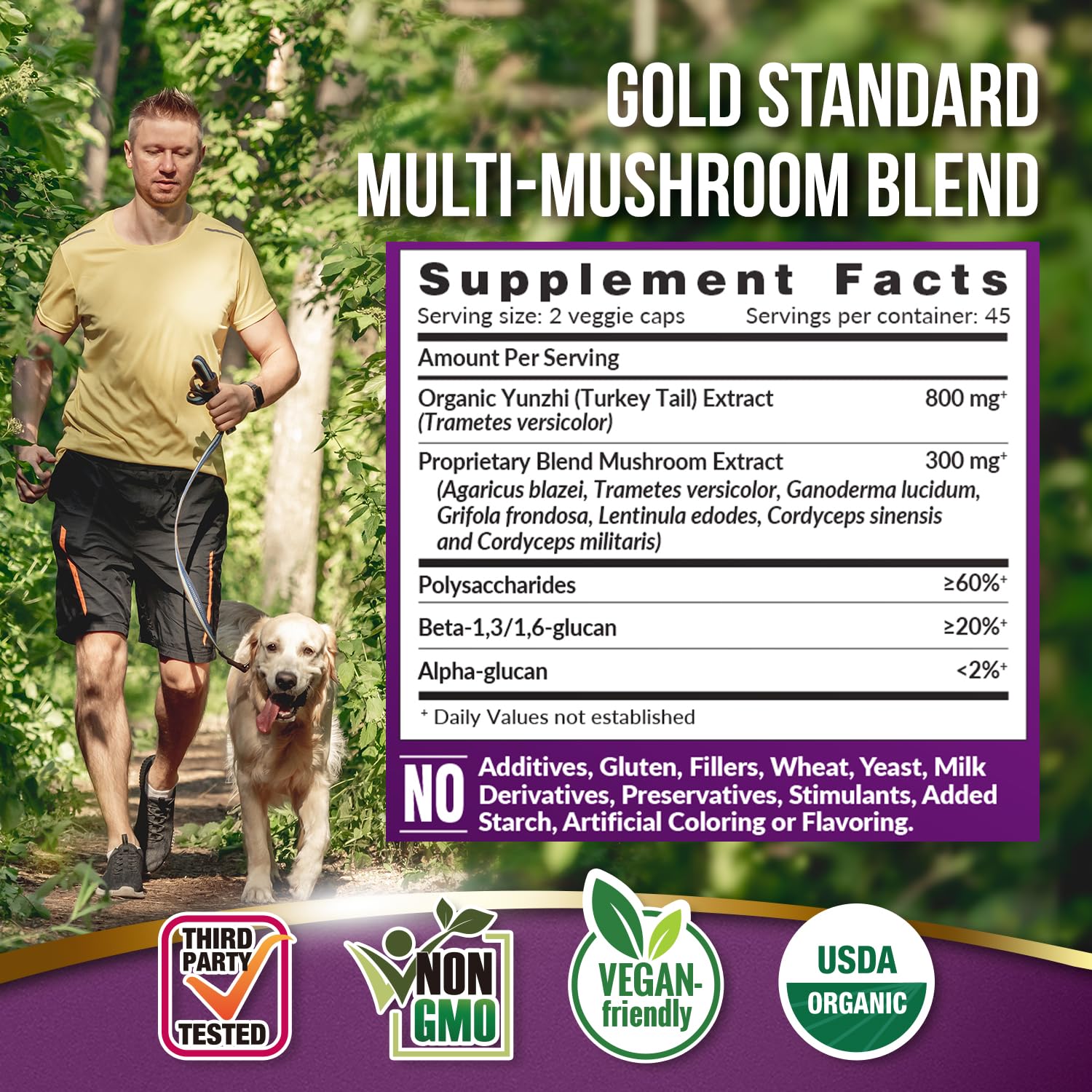 Amazon.com: LABO Nutrition Bioactive Organic Yunzhi/Turkey Tail