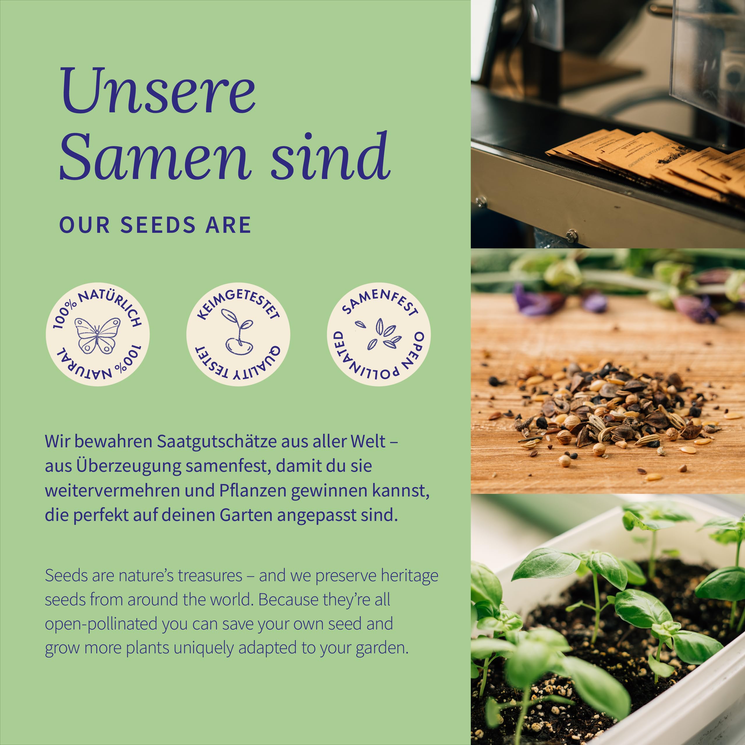 Magic Garden Seeds - Samen-Raritten Samenset - 9 ausgefallene Sorten aus  Gemse, Krutern & Blumen - handverlesen, bunt & ungewhnlich - originelles  Geschenk fr Gartenfreunde : Amazon.de: Garten