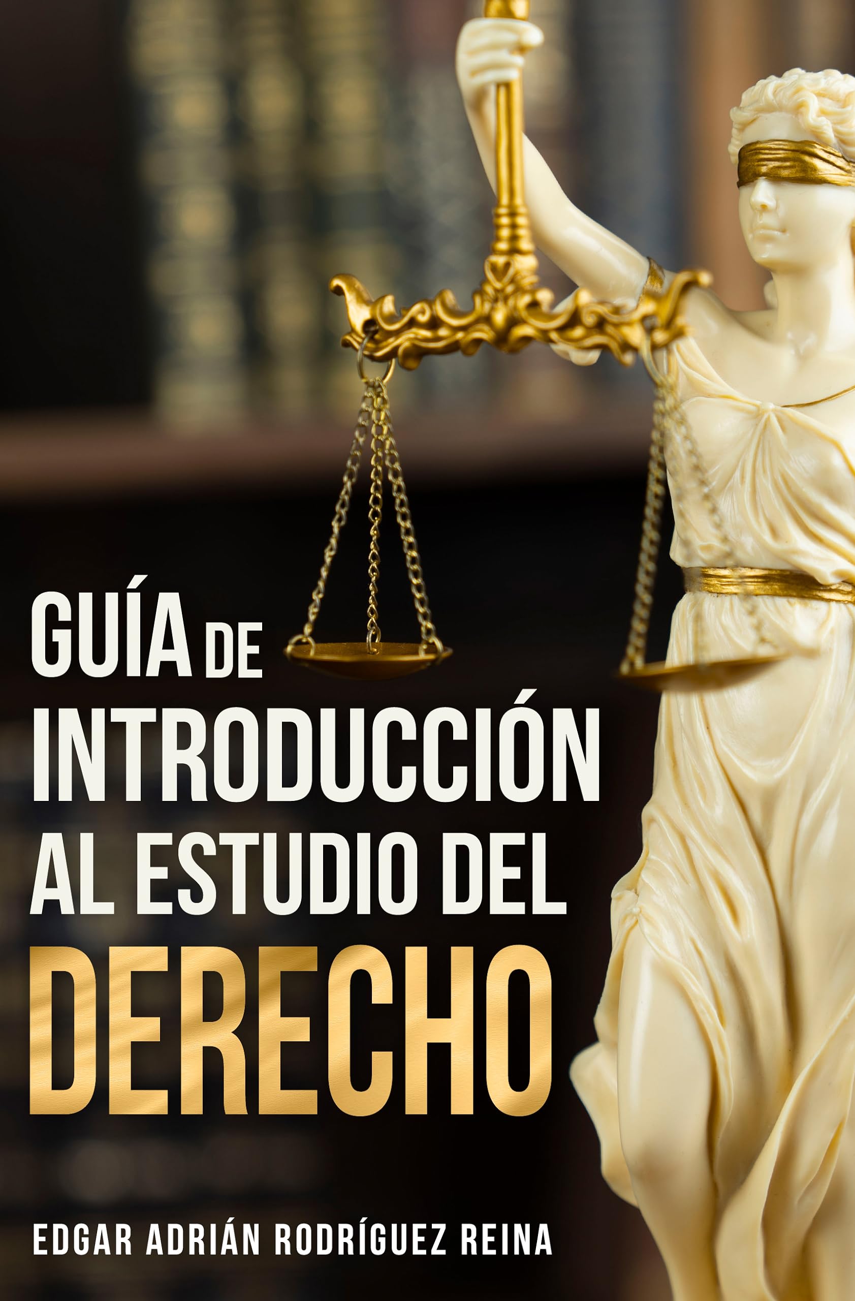 Guía de Introducción al Estudio del Derecho (Spanish Edition)