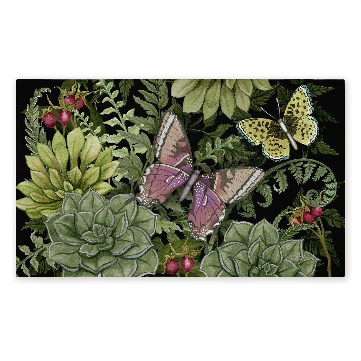 Dark Succulents Midnight Garden Outdoor Door Mat, Durable Non-Slip Unwoven Mat with Recycled Rubber Backing, Weather-Resistant Botanical Succulent Garden Design by Nicole Tamarin, 18"x30"