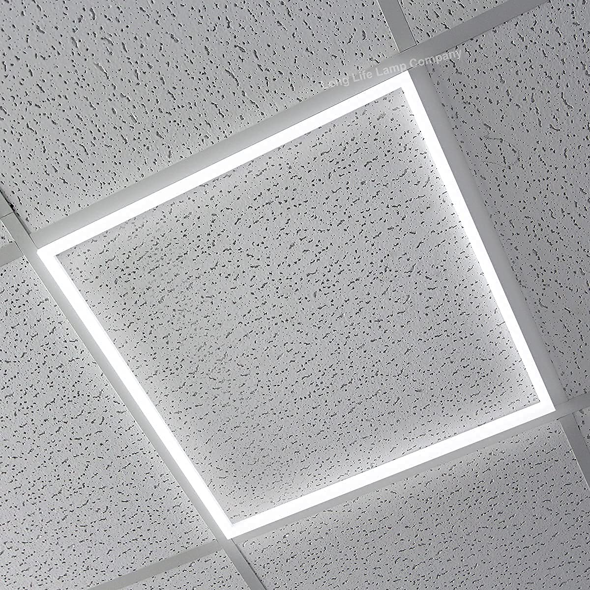Long Life Lamp Company 2 x 40w LED Suspended Ceiling Light Edge Lit Border Frame Panel 600 x 600 Cool White Recessed Ceiling Light