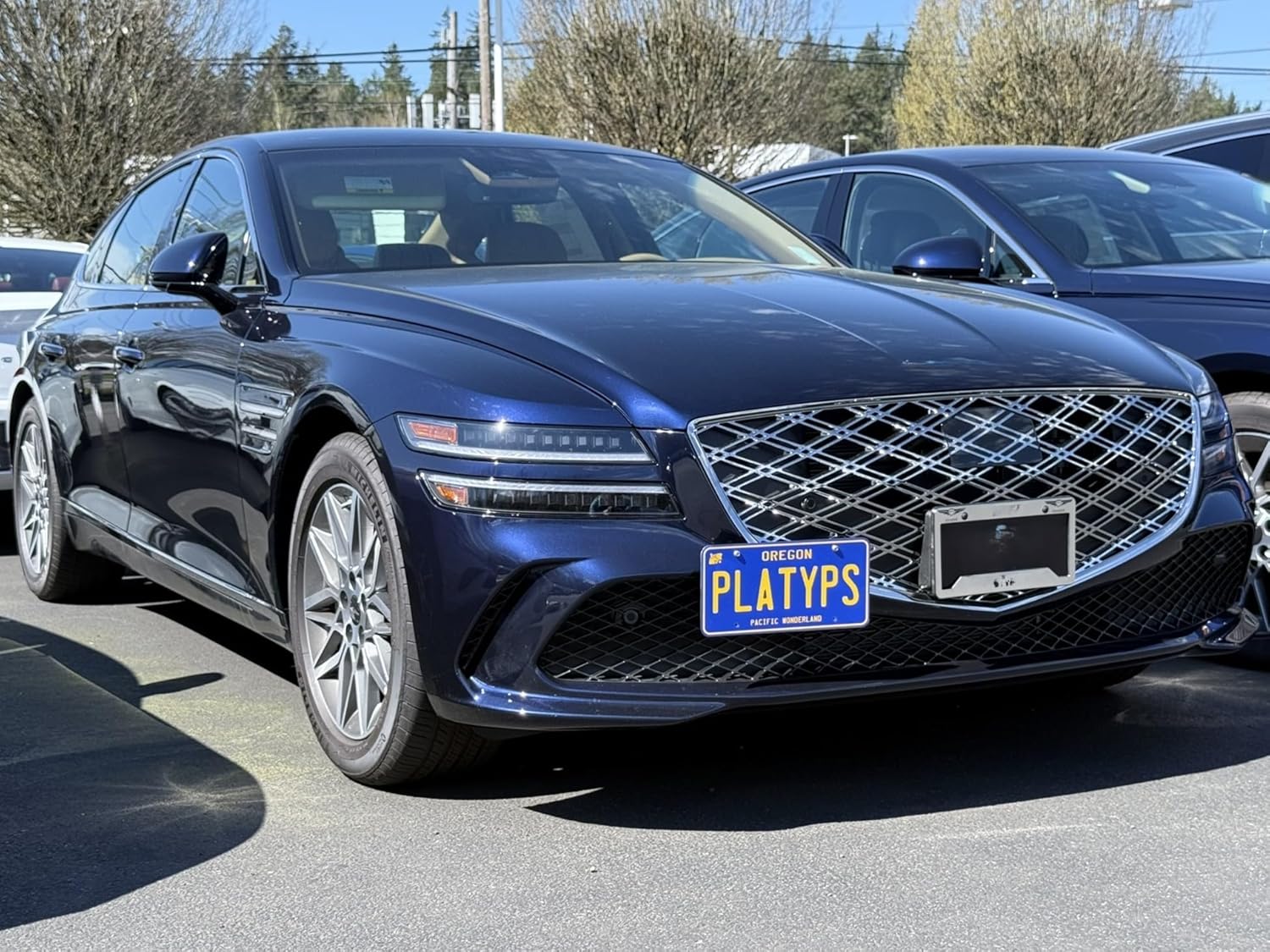 CravenSpeed Platypus License Plate Mount Compatible with Genesis G80 2021-2025 | No Drilling | Made of Stainless Steel & Aluminum | Made in USA