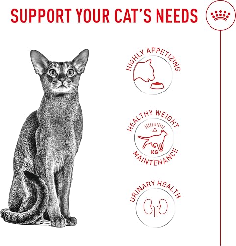 Royal Canin Fussy Exigent - 3