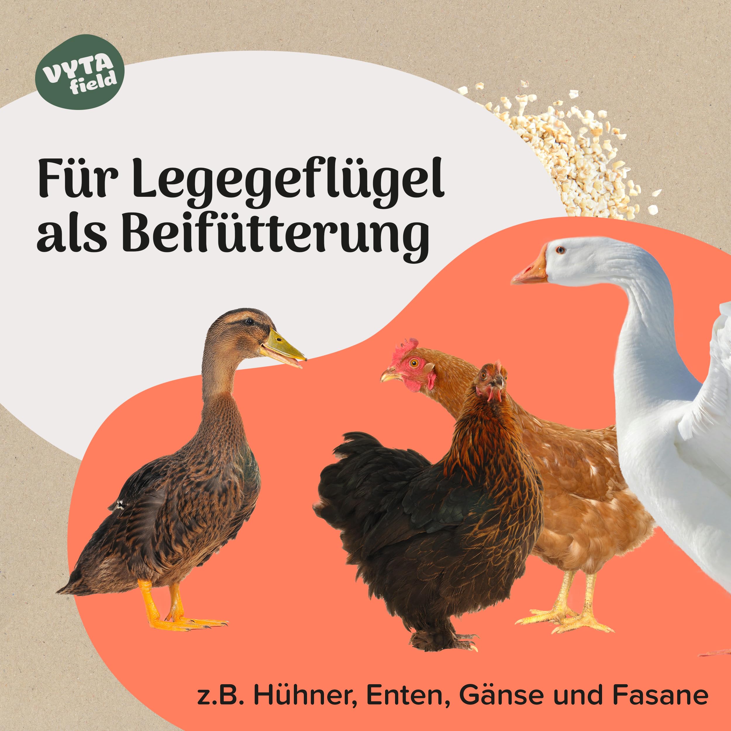 Graines Poules Pondeuses Nourriture Volailles Vytafield 25kg - Grains Naturels Pour Poules, Canards, Oies Nourriture Naturelle Animaux Graines Poules Pondeuses Nourriture Volailles Vytafield 25kg - Grains Naturels Pour Poules, Canards, Oies Nourriture Naturelle Animaux