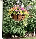 Review Image by Victoria L. Victoria L.