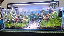 Review Image by Dexter Arafiles Dexter Arafiles