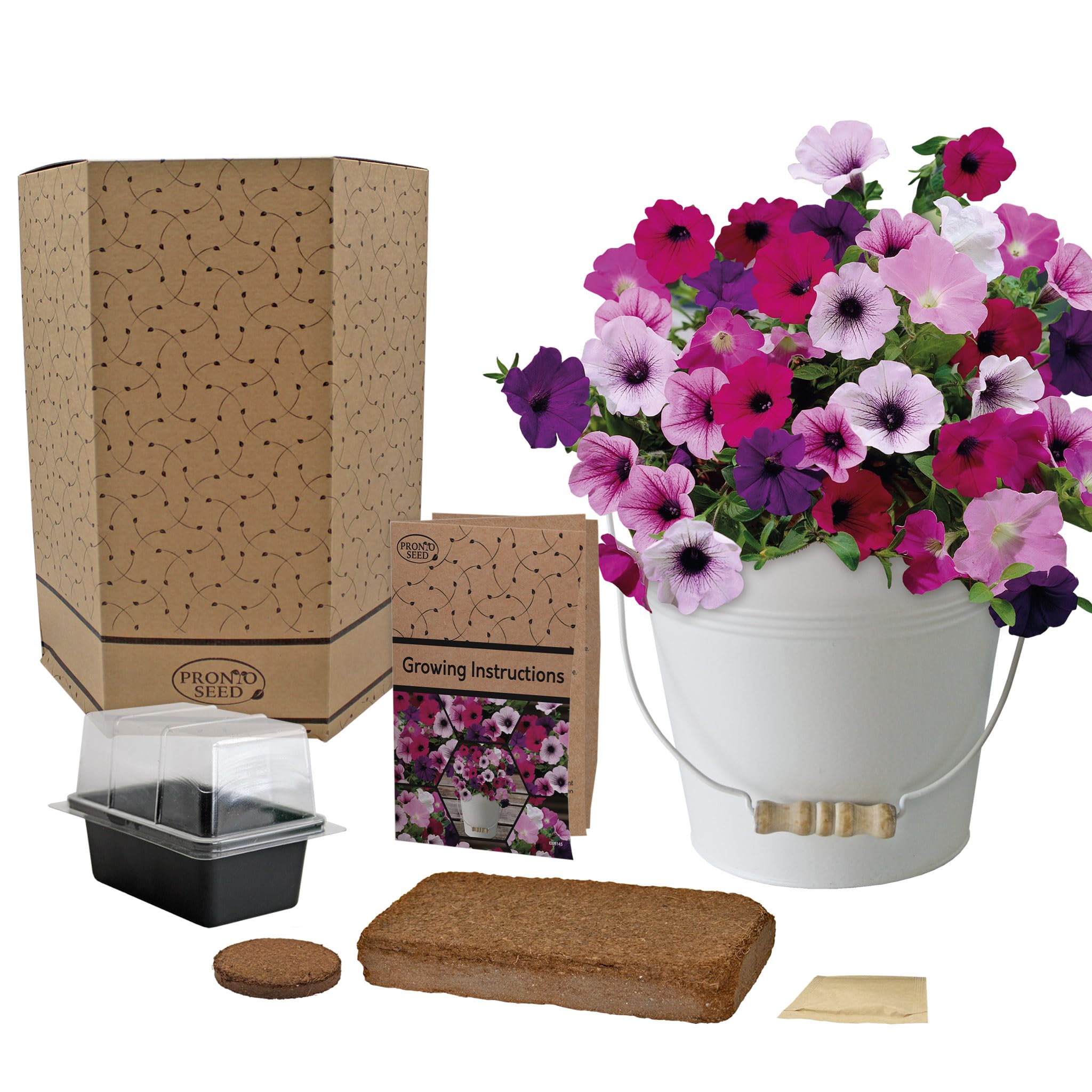 Pronto Seed Petunia Flower Growing Kit with Cream Bucket Planter | Thoughtful Gardening Gift for Women | Lovely Christmas or Birthday Present Idea (Petunia - Cream Bucket Planter)