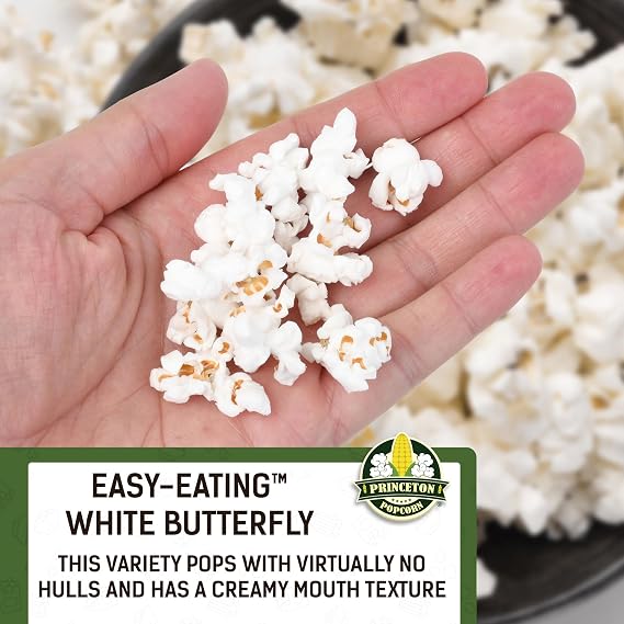 Princeton Popcorn White Butterfly Hulless Kernels, 16 oz Jar - Non-GMO | Baby small tender hulless white butterfly corn, farmer-direct. No hulls, no glyphosate. Air popper or stovetop ready.