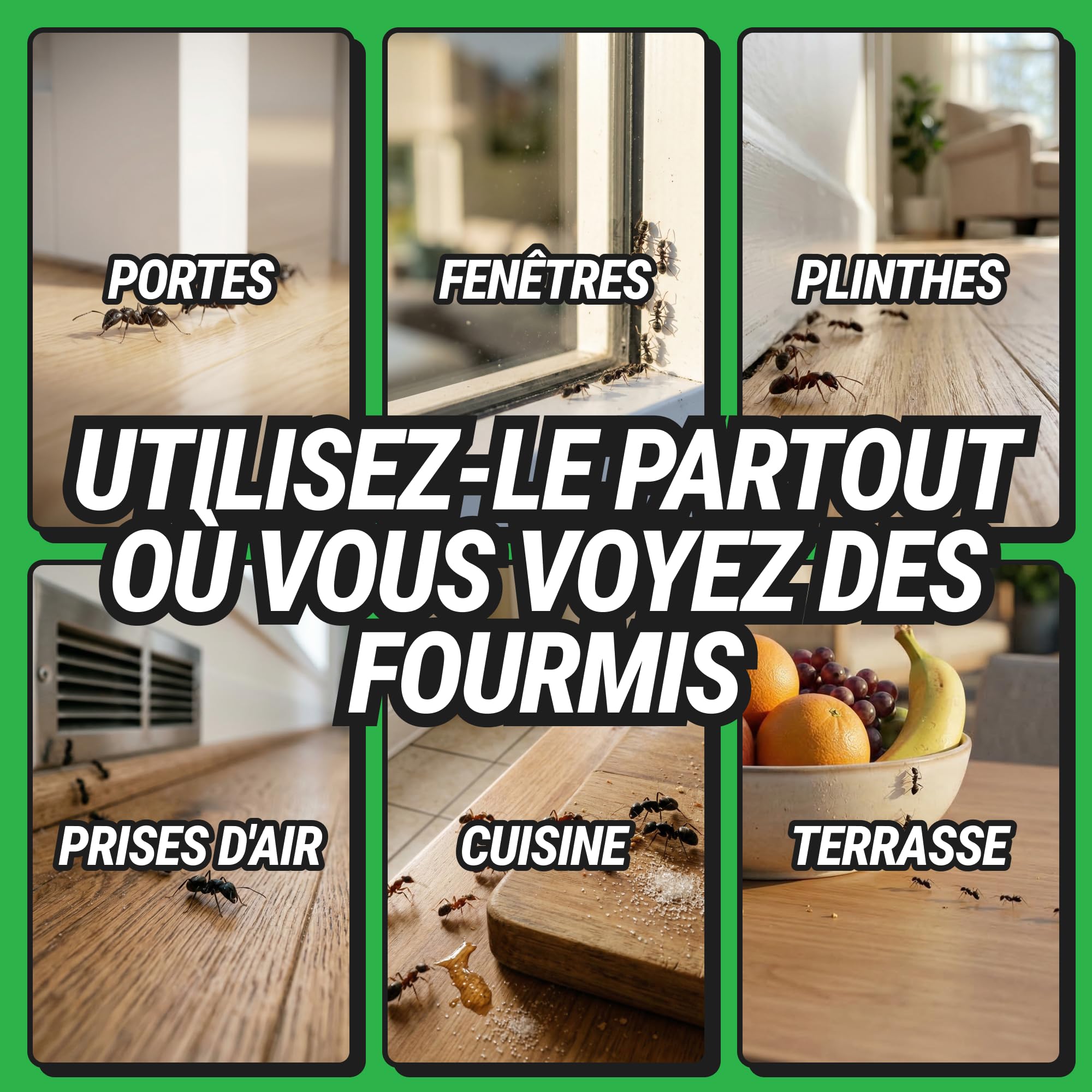 RepellShield® Spray Anti Fourmis Maison Intérieur et Extérieur - Barrière Répulsive à Base de Plantes pour Cuisine, Jardin, Portes et Fenêtres - Extrait de Chrysanthème - sans Tache ni Résidu, 250ml