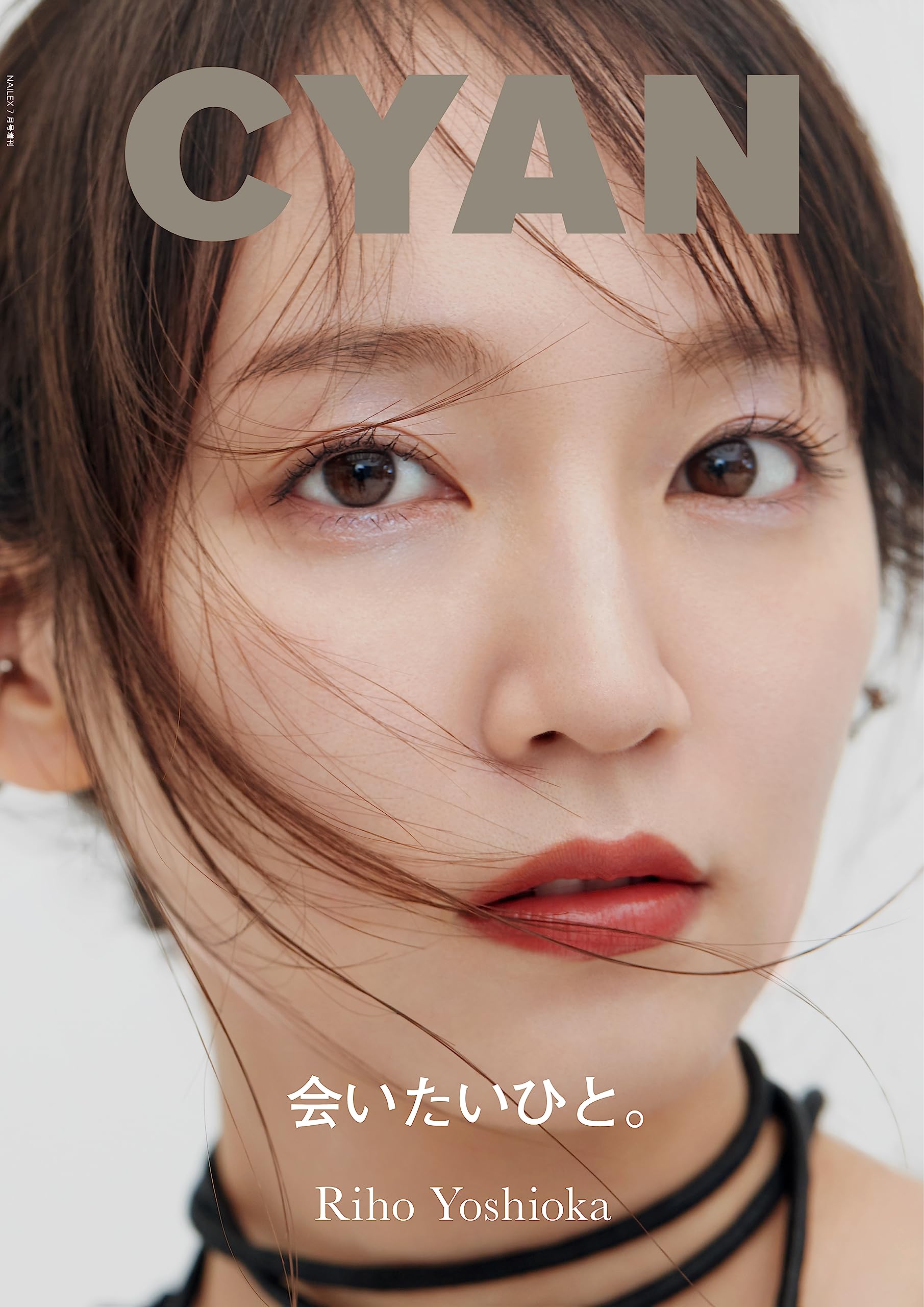 SHIN echoes 会報誌 No.11～19 クリアブック付き Amazon.co.jp: CYAN: 本、バイオグラフィー、最新アップデート
