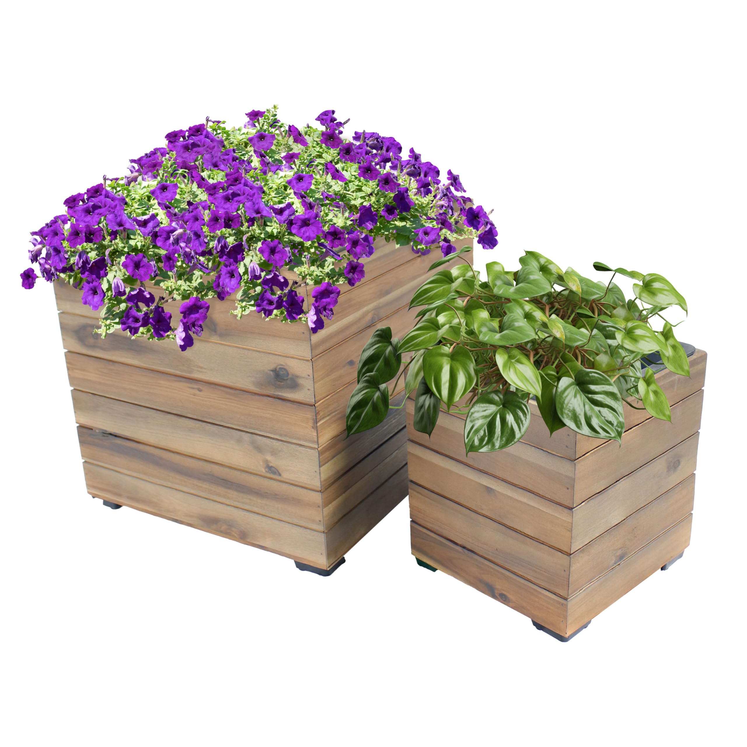 Amazon.com : Sunnydaze Outdoor Wooden Planter Boxes - 2 Acacia
