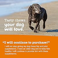 Vista 6 de Zesty Paws Mobility Bites - Suplemento para articulaciones para perros, masticables suaves con glucosamina para perros, condroitina y MSM +