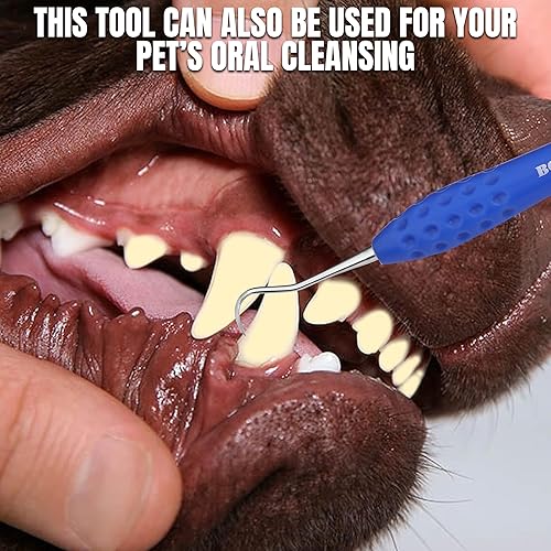 Miniatura 9 de Herramientas dentales profesionales raspador de sarro para dentista, uso personal y removedor de placa de mascotas para dientes, cuidado bucal