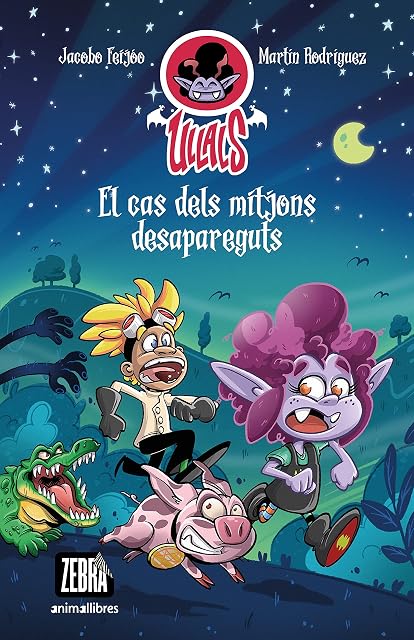 Portada de El cas dels mitjons desapareguts