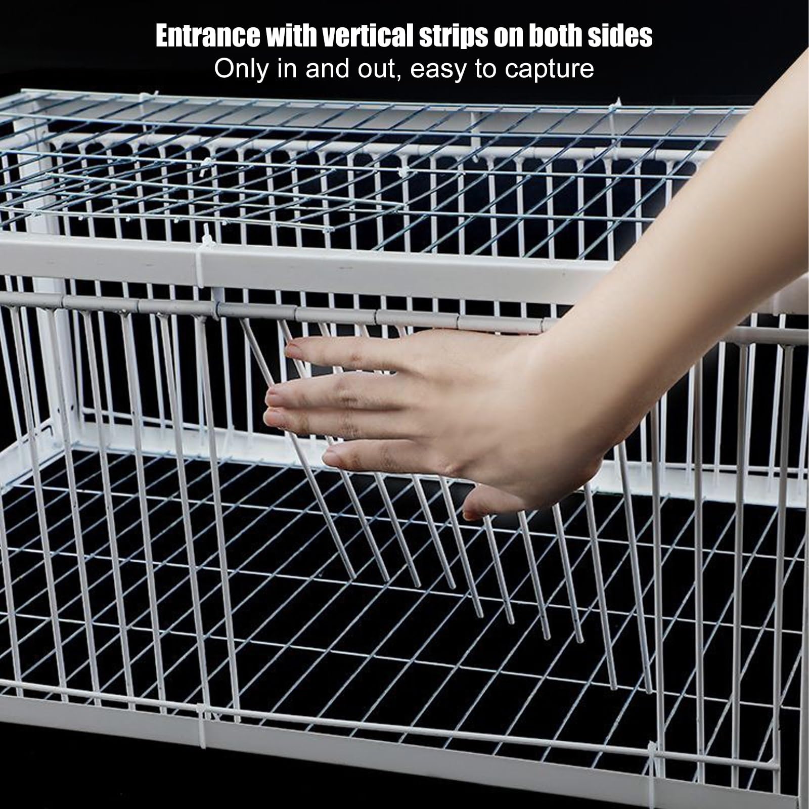 Jaula De Pájaros Trampa, Jaula Trampa pajaros o Jaula Trampa Palomas, Jaulas para Pájaros con Entrada Unidireccional, con Diseño A Prueba De Escape, para Gorriones, Palomas Y Aves (Size : 70x4