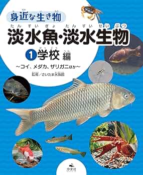 水の生き物 まるで気球。水深4000mを浮遊する新種のゼラチン生物を発見