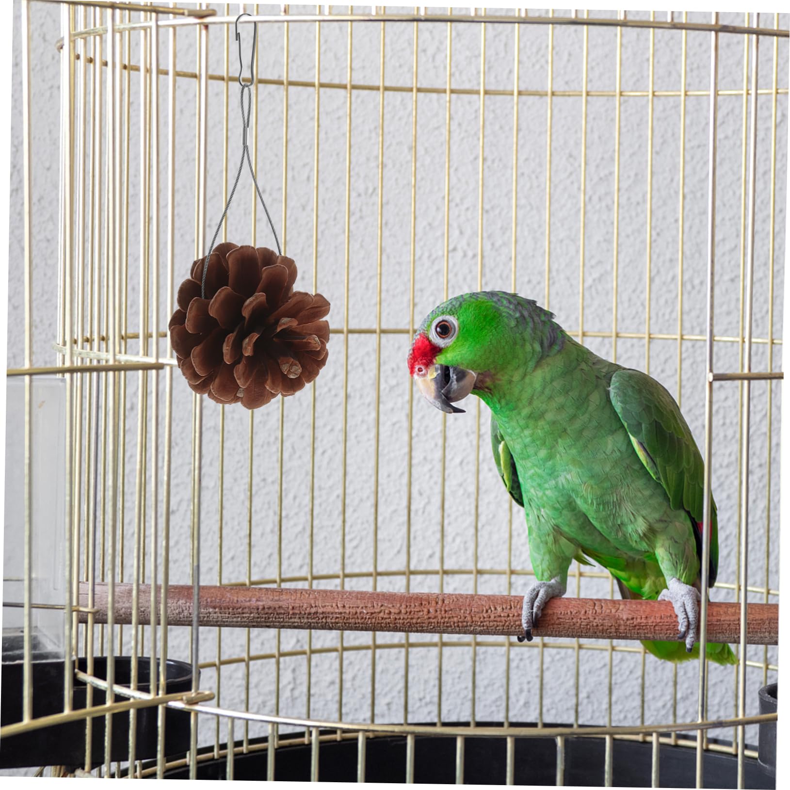 BESPORTBLE 20pièces Jouets pour Oiseaux Et Rongeurs Accessoire De Mâchage Suspendu pour Perroquets Et Petits Animaux