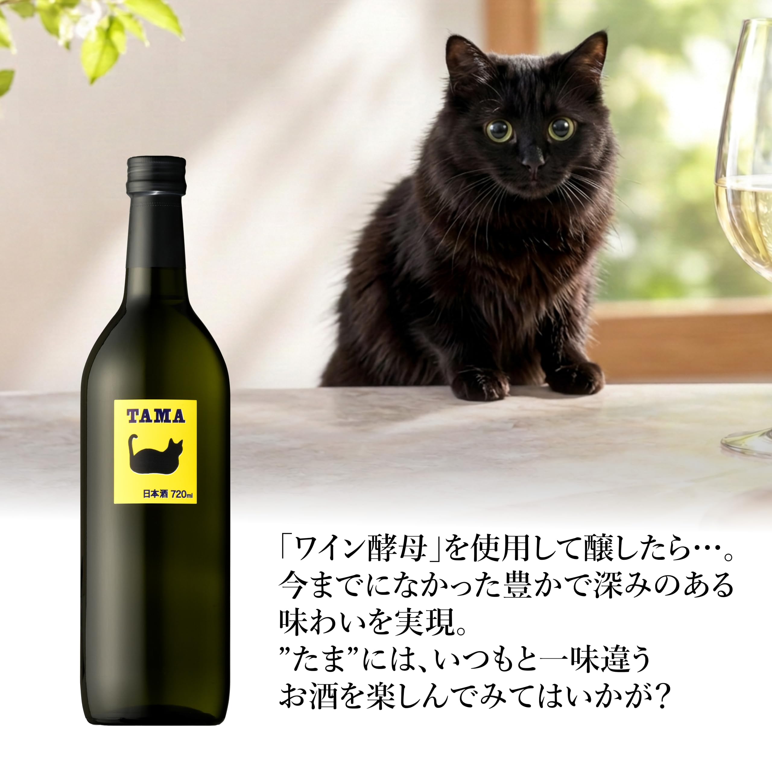 Amazon.co.jp: 玉乃光酒造 純米吟醸 TAMA [ 日本酒 京都府 720ml