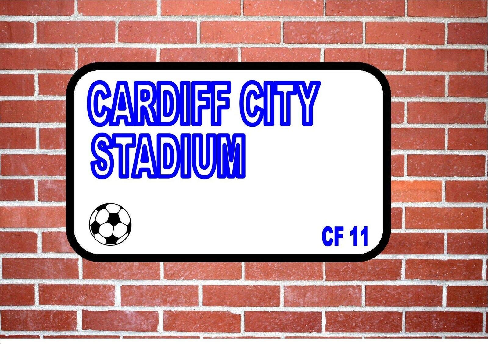 Inga Cardiff Bluebirds Metal Door Sign Decoration Props Plaque 8X12 inch