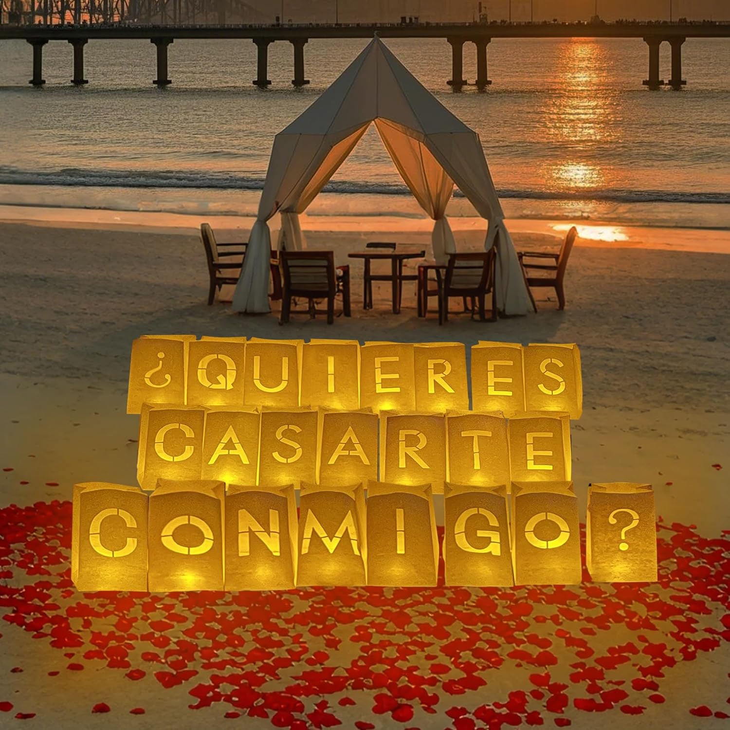 Will You Marry Me Sign - ¿QUIERES CASARTE CONMIGO? Will You Marry Me Light Up Letters in Spanish with Roses, Marry Me Proposals Romantic Decorations Special Night, Valentines Day Brithday Celebrations
