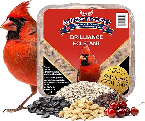 Miniatura 2 de Armstrong Bird Food Royal Jubilee Brilliance - Pastel de sebo de 10.6 onzas (paquete de 3), con girasol de aceite negro, cártamo, pasas, cerezas y