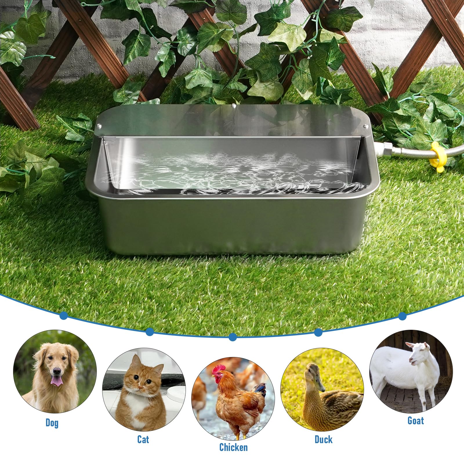 Bebedero AutomáTico para Perros, Bebedero de Acero Inoxidable 11L para Perros Grandes, Correo AutomáTico Autorellenable para Gato de Exterior, CorreoAutomáTico para Cachorro, Gatos y Gallinas