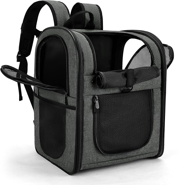 Apollo Walker Pet Sac à dos de transporteur pour 4-15lb Chats et chiens, chiots, caractéristiques de sécurité et soutien au dos de coussin