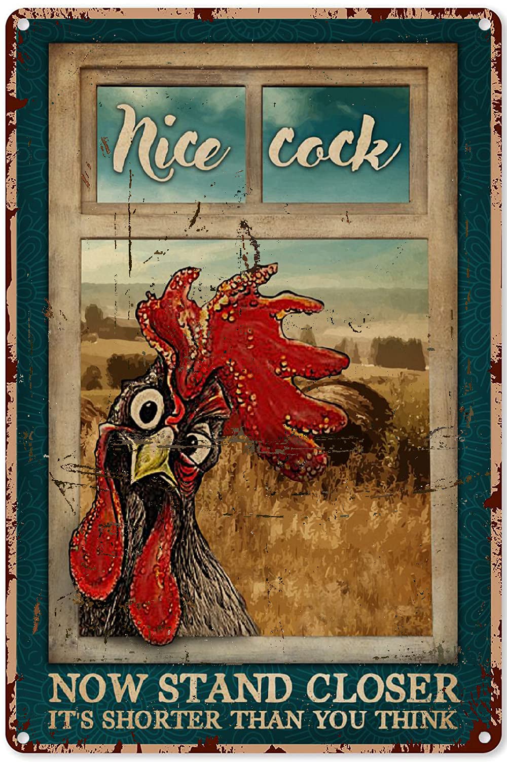 Metal Tin Signs Nice Cock Now Stand Closer It is Shorter Than You Think Vintage Bar Home Bathroom Wall Decoration Sign 30 * 40CM