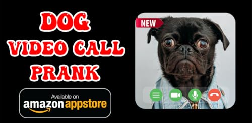 Tiny Dog Calling Fake Video Call Prank Black Pug